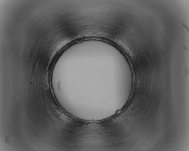 X0000091680974200709131544