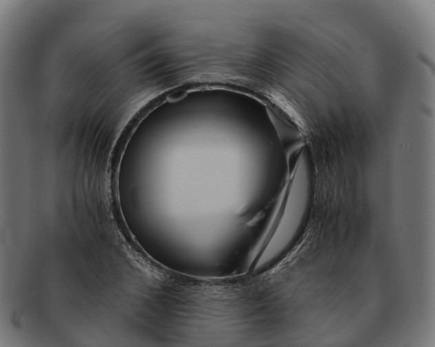 X0000091680976200709131544