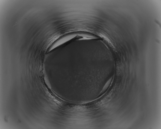 X0000091680977200709131544