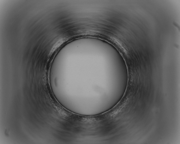 X0000091680978200709131544