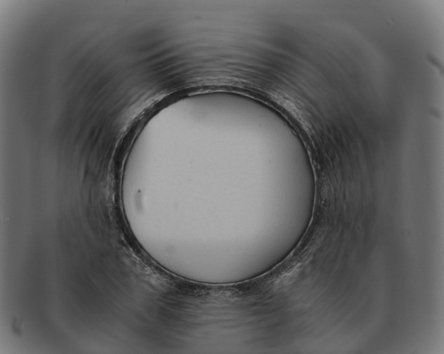 X0000091680979200709131544