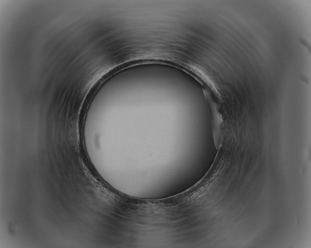 X0000091680980200709131544