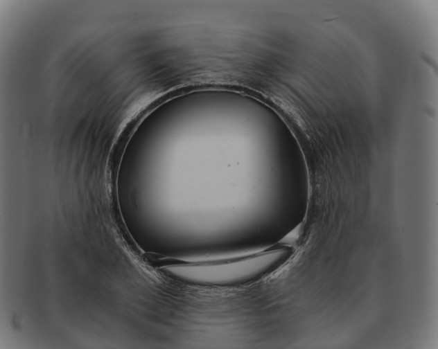 X0000091680981200709131544