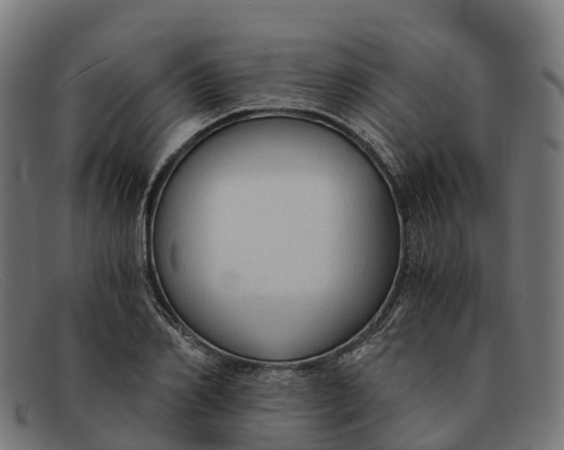 X0000091680982200709131544