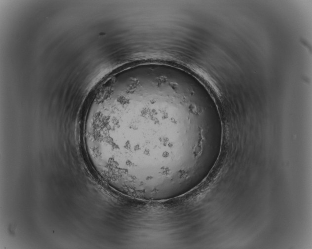 X0000091680983200709131544