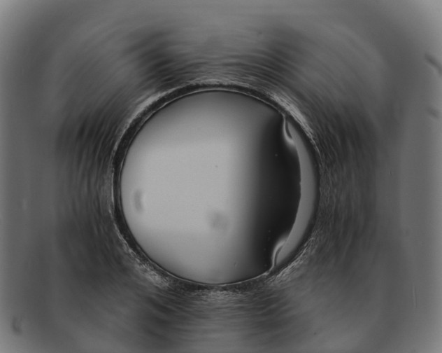 X0000091680984200709131544