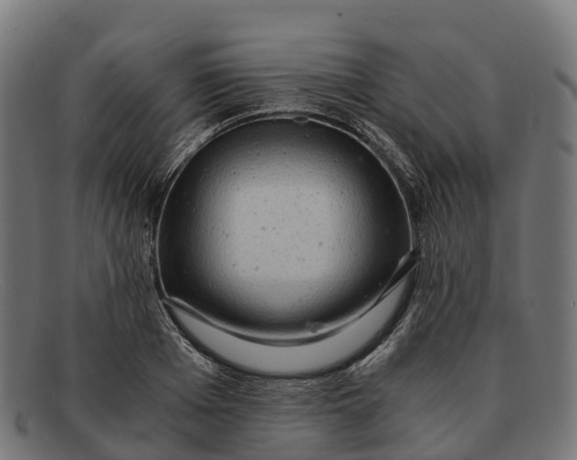 X0000091680985200709131544