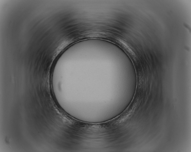 X0000091680986200709131544