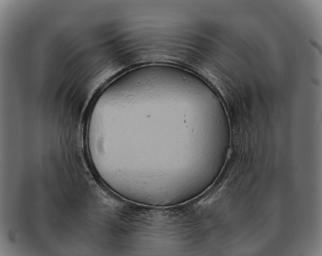 X0000091680987200709131544