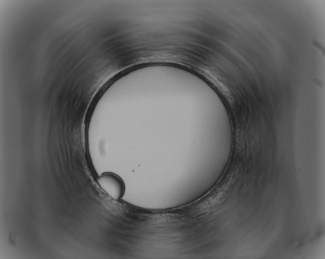 X0000091680988200709131544