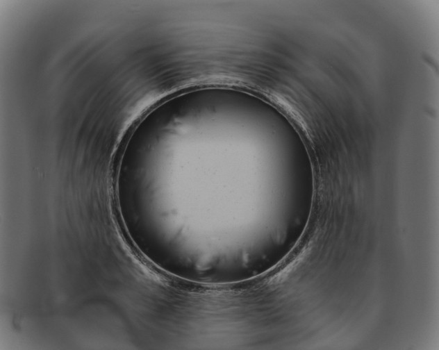 X0000091680989200709131544