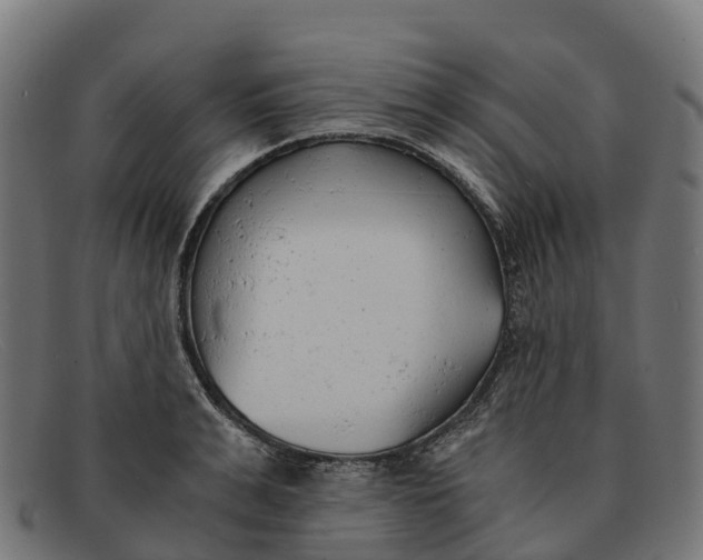 X0000091680991200709131544