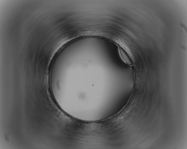 X0000091680992200709131544