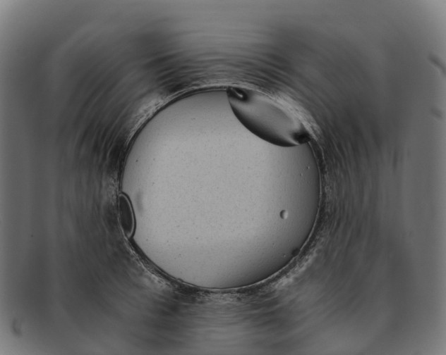 X0000091680993200709131544