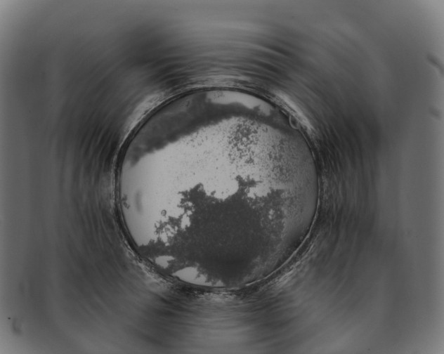 X0000091680994200709131544