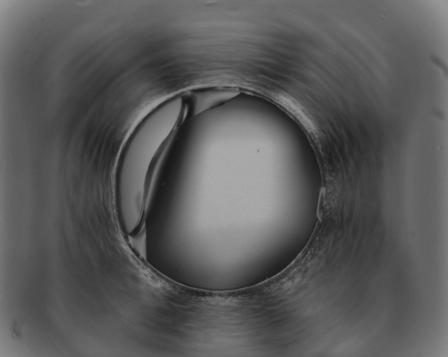 X0000091680996200709131544