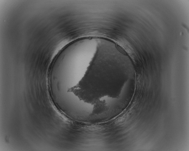 X0000091680998200709131544