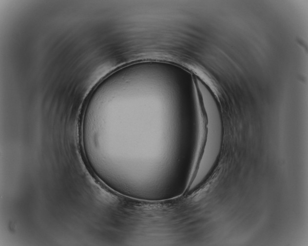 X0000091680999200709131544