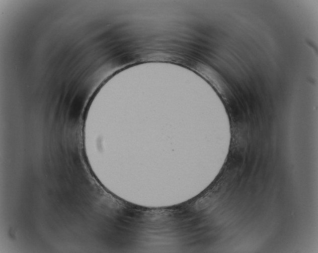 X0000091681000200709131544