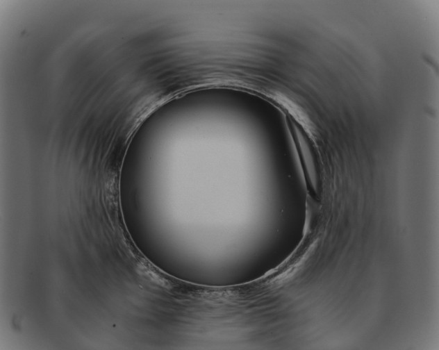 X0000091681001200709131544