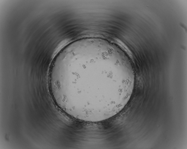 X0000091681002200709131544