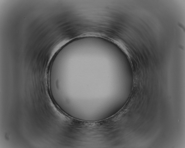 X0000091681003200709131544