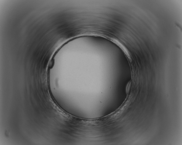 X0000091681004200709131544