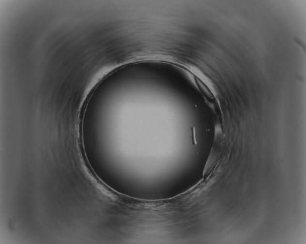 X0000091681005200709131544