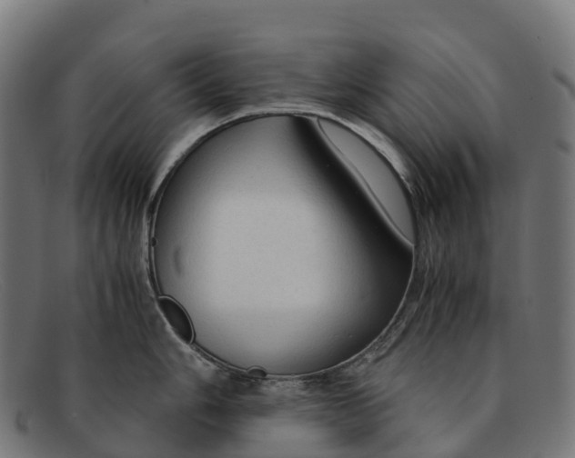 X0000091681006200709131544