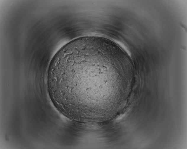 X0000091681007200709131544