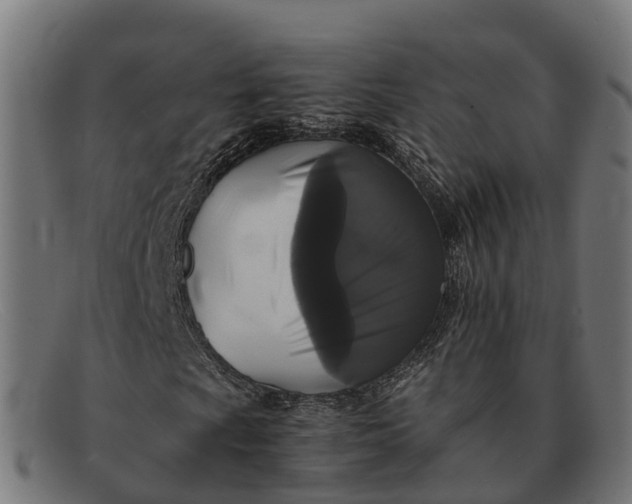 X0000091681009200709131543