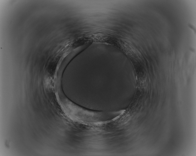 X0000091681010200709131543