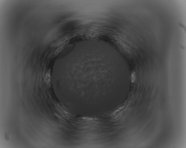 X0000091681011200709131543