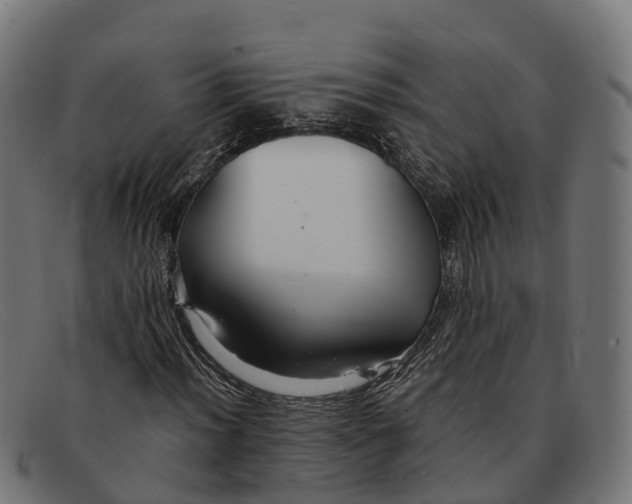 X0000091681012200709131543