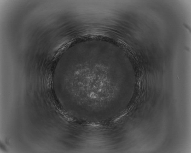 X0000091681014200709131543