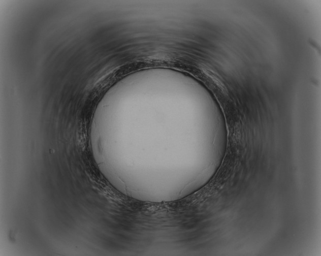 X0000091681015200709131543