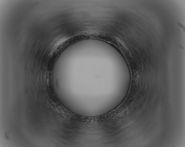 X0000091681016200709131543