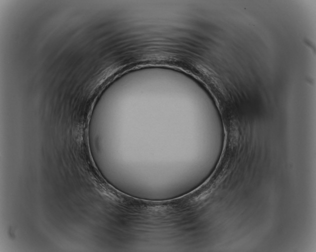 X0000091681017200709131543