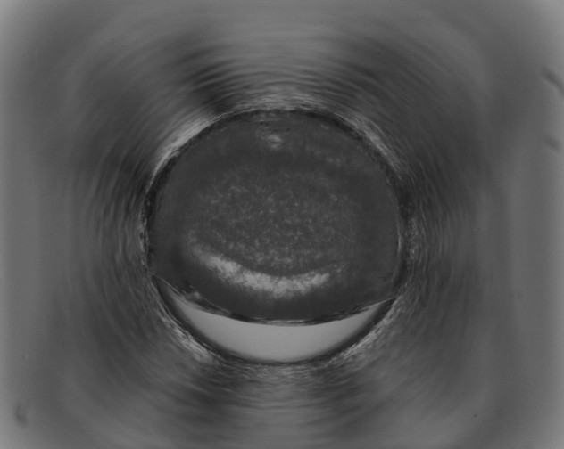 X0000091681018200709131543