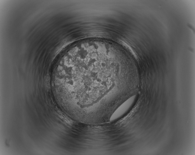 X0000091681019200709131543