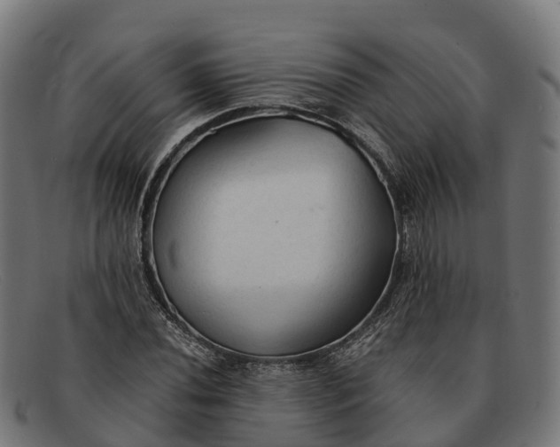 X0000091681020200709131543