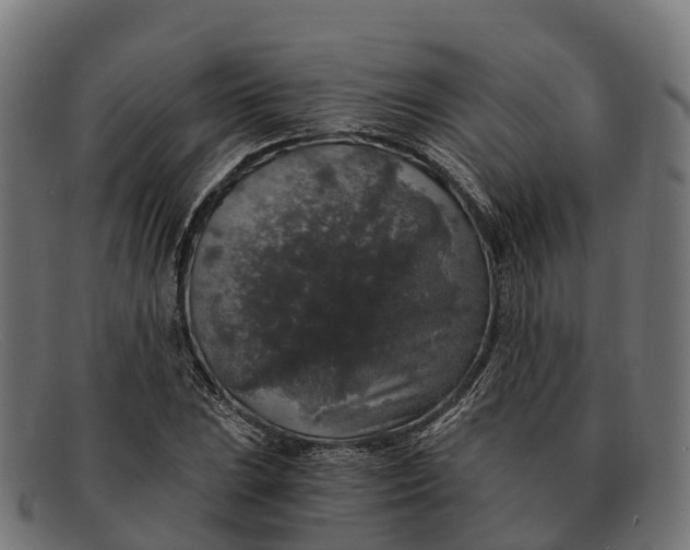 X0000091681023200709131543