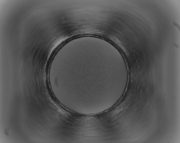 X0000091681024200709131543