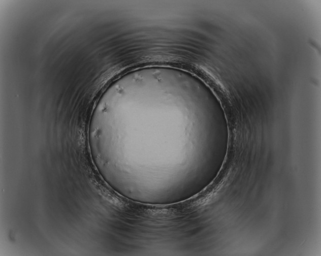 X0000091681025200709131543