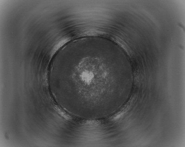 X0000091681026200709131543