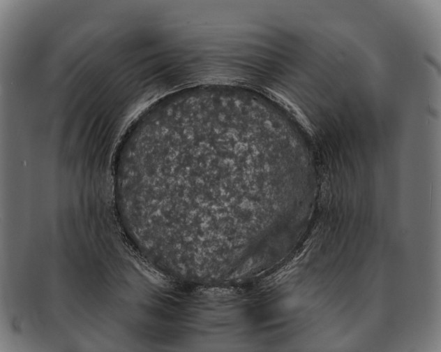 X0000091681027200709131543