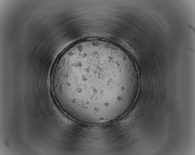 X0000091681028200709131543