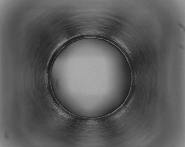 X0000091681029200709131543