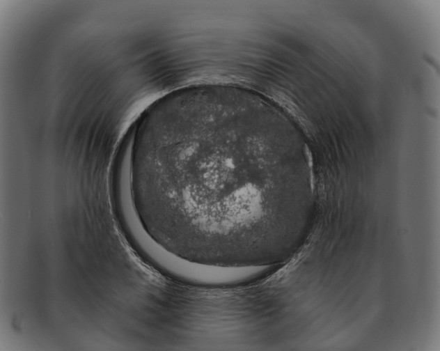 X0000091681030200709131543