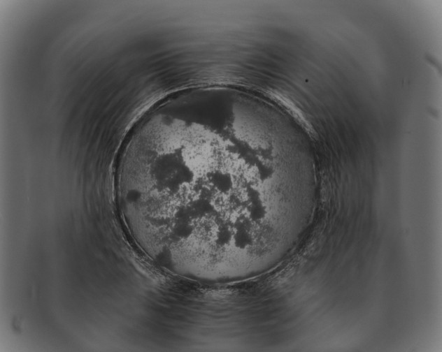 X0000091681031200709131543